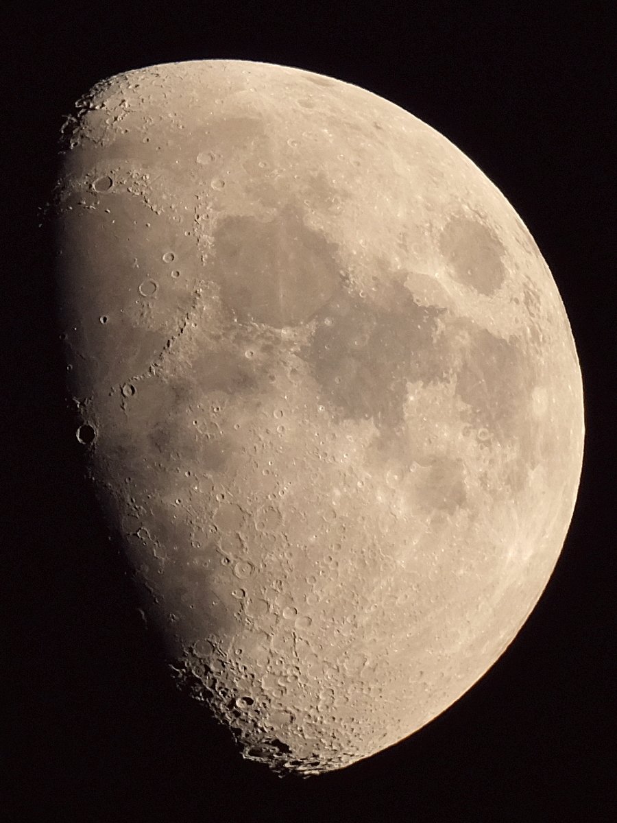 DSCF9995_bearb_crop.JPG