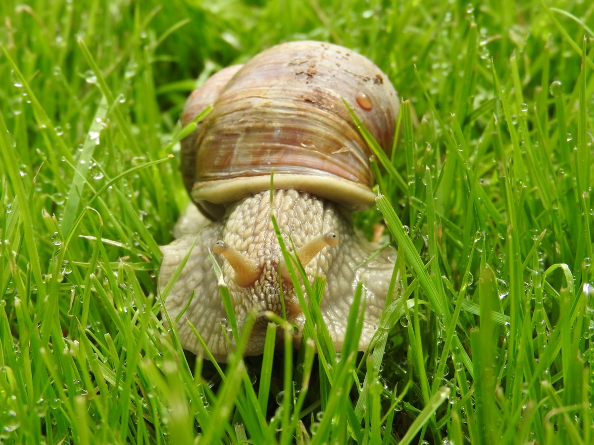 DSCN1466_4.jpg