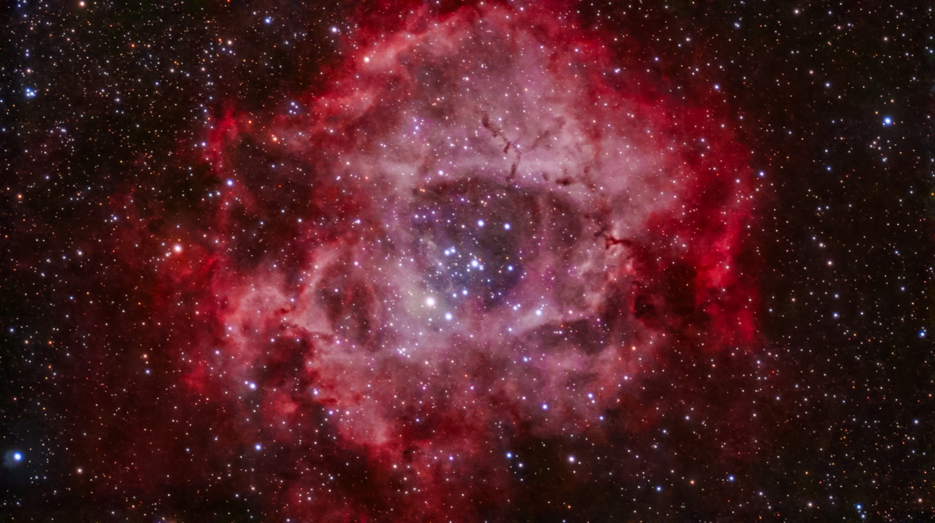 DwarfM_Rosette_87x60s.jpeg