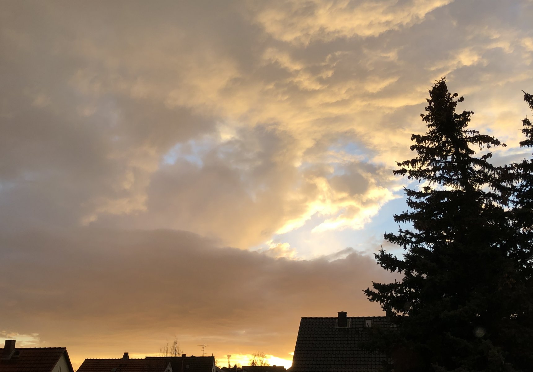 E11CA143-E9EE-4C3A-A483-A10967AC0300.jpeg