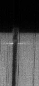 EB_AR4505_Crop~3.jpg