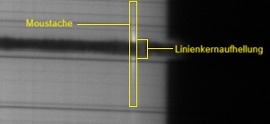 EB_AR4505_Crop_Phänomene.jpg