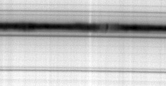 EB_AR4506_Crop.jpg