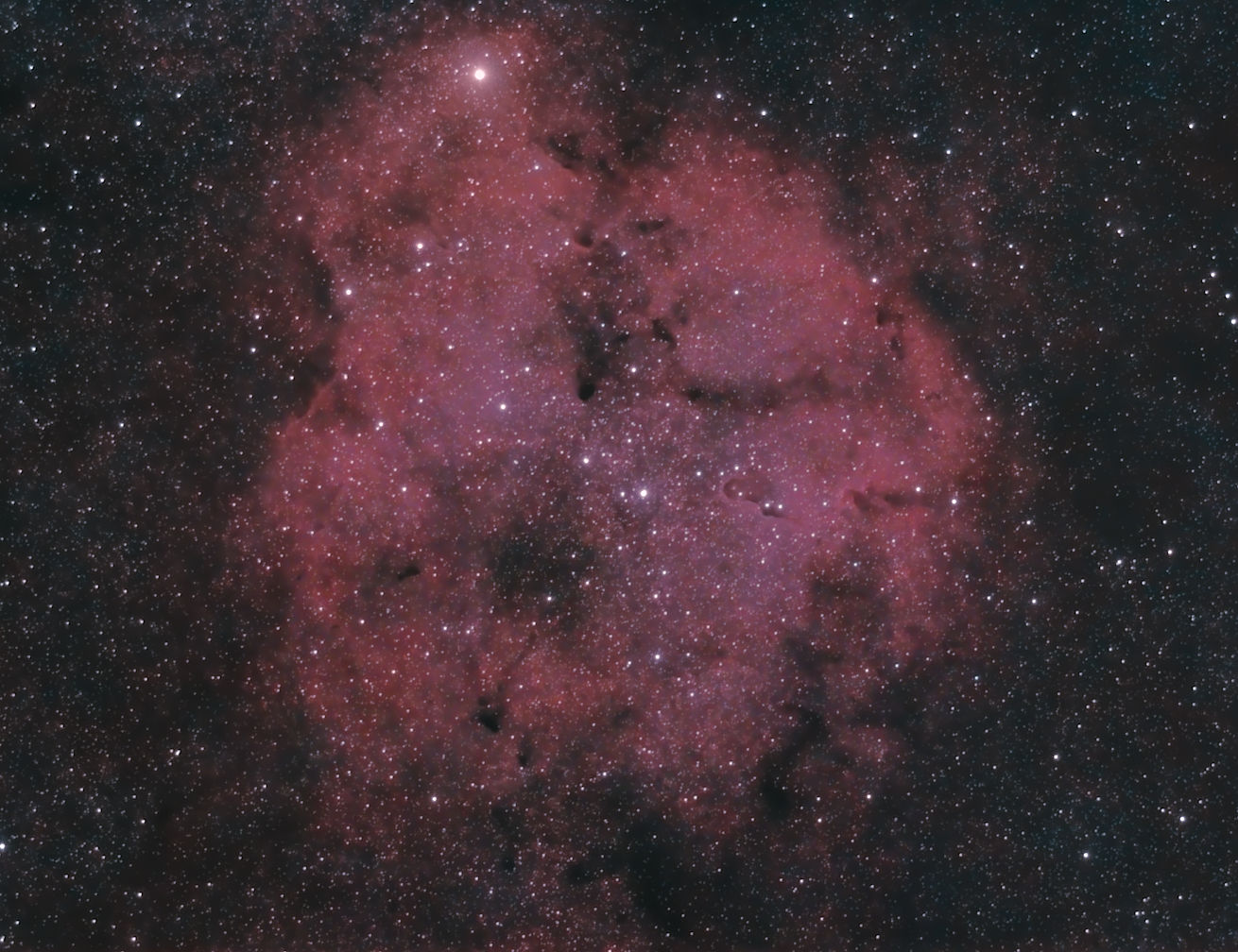 elephant-ic1396-020824-55mmc.jpg