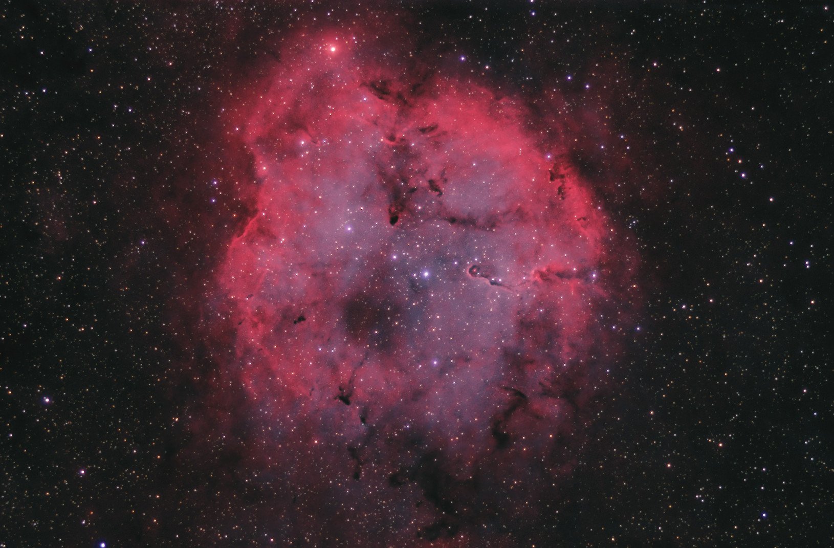 elephant-ic1396-110826-55mm-bestc.jpg