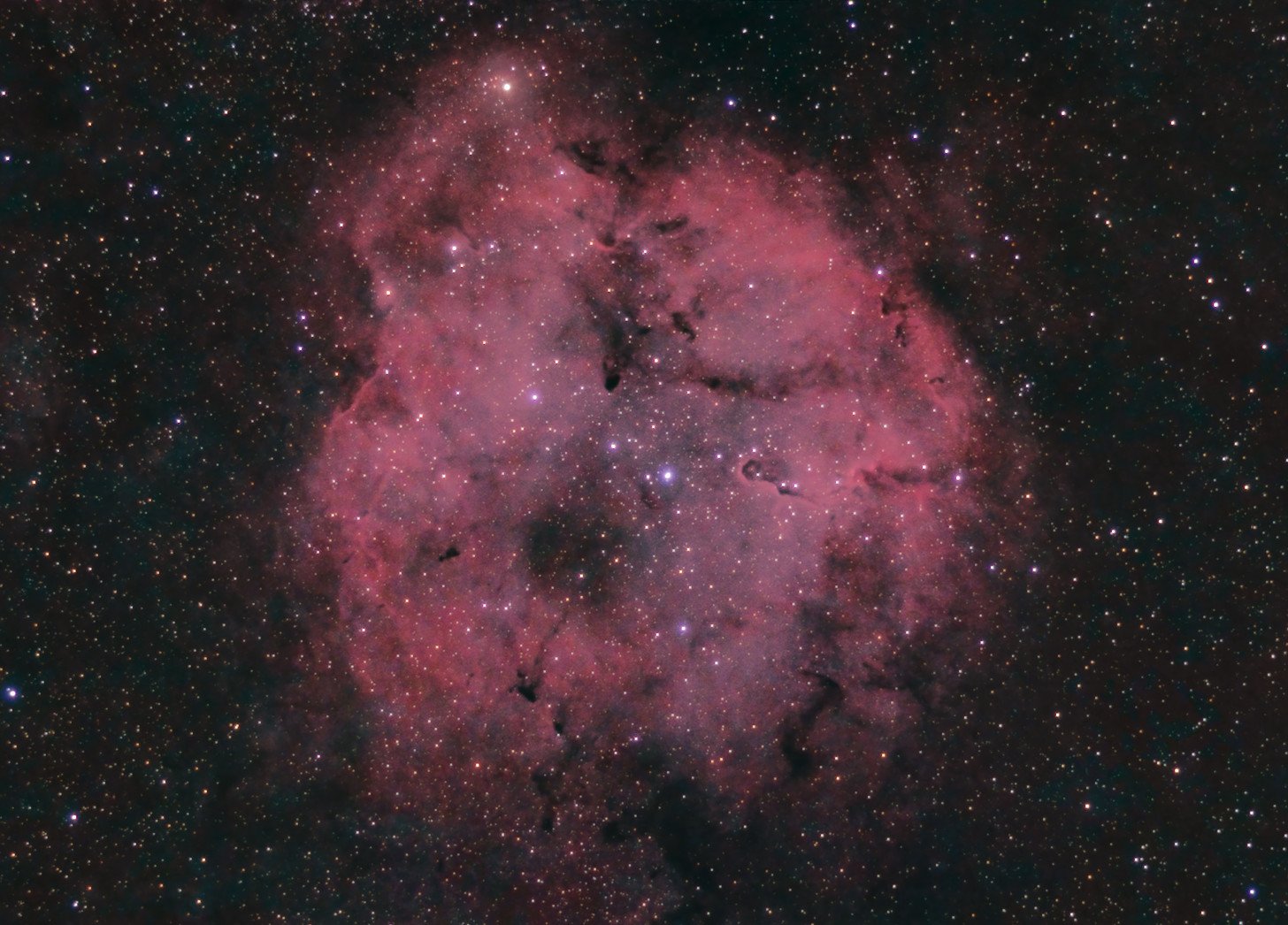 elephant-ic1396-190825-55mm-neuc.jpg