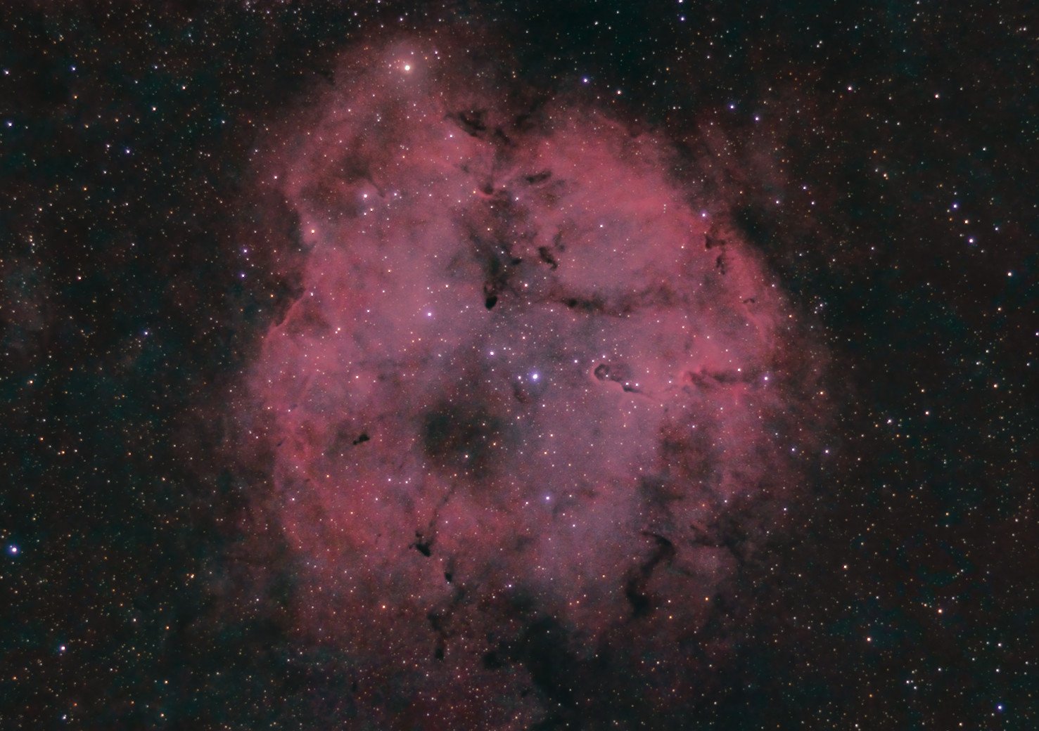 elephant-ic1396-190825-55mmc.jpg