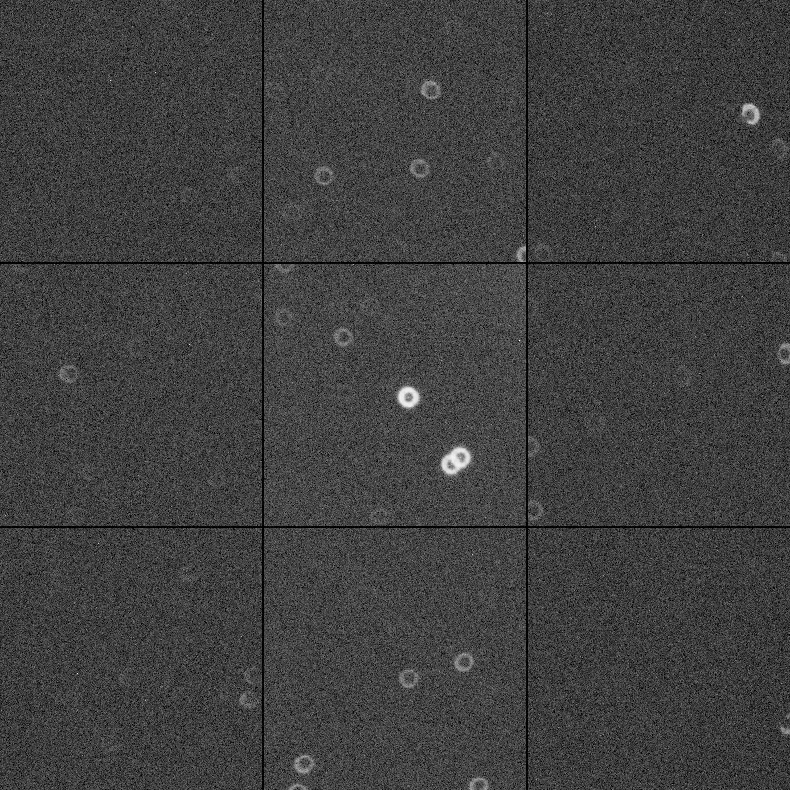 extra_Epsilon_QHY268M_2022_02_04_23_36_11_mosaic.jpg