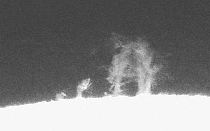 ezgif.com-animated-gif-maker(15)(1).gif