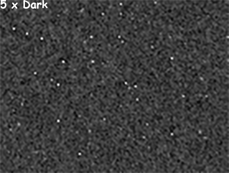F3AE2E81-66E0-4298-AB5A-0800E4F64151.gif