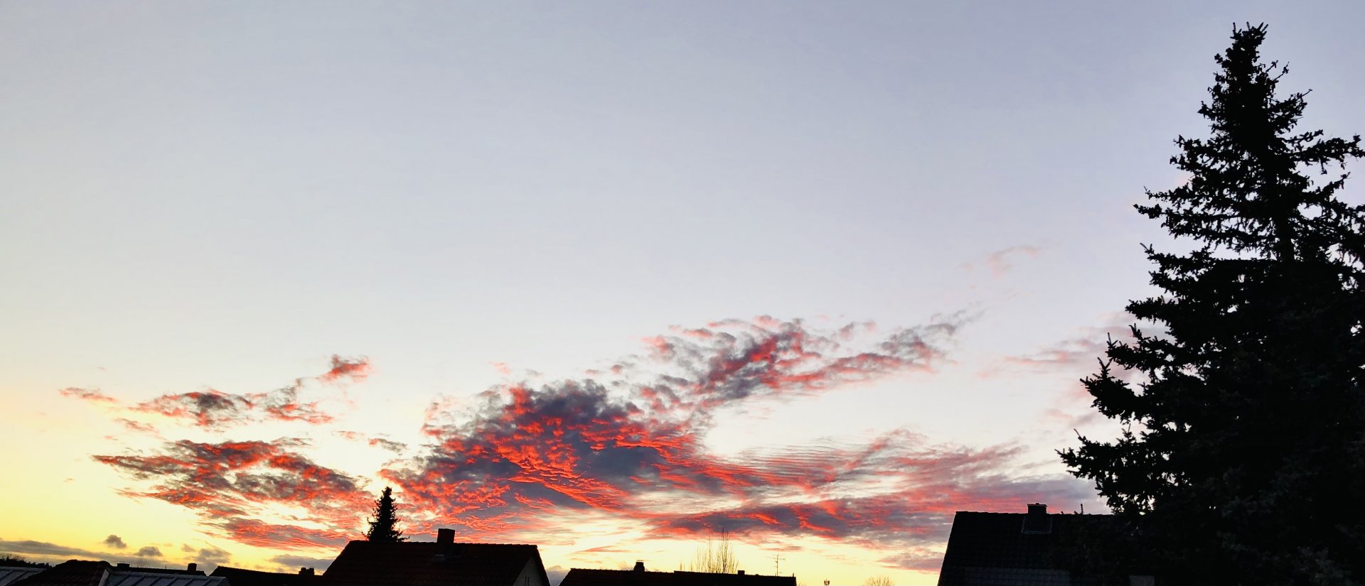 F5F0DE06-E77A-4890-9B95-0ADFE081B4F8.jpeg
