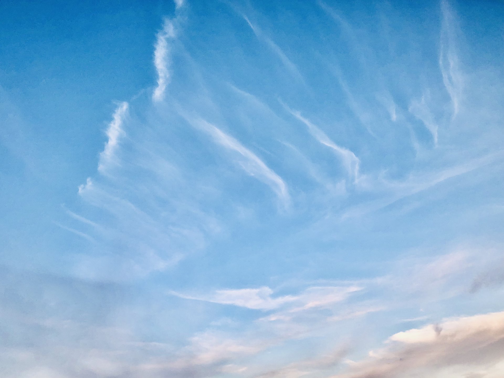 F9526527-A740-4BB2-AF77-34A847FD20B3.jpeg