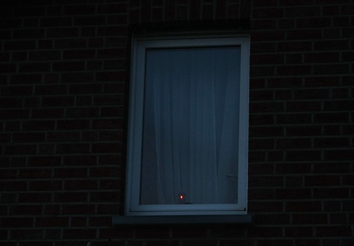fenster.jpg