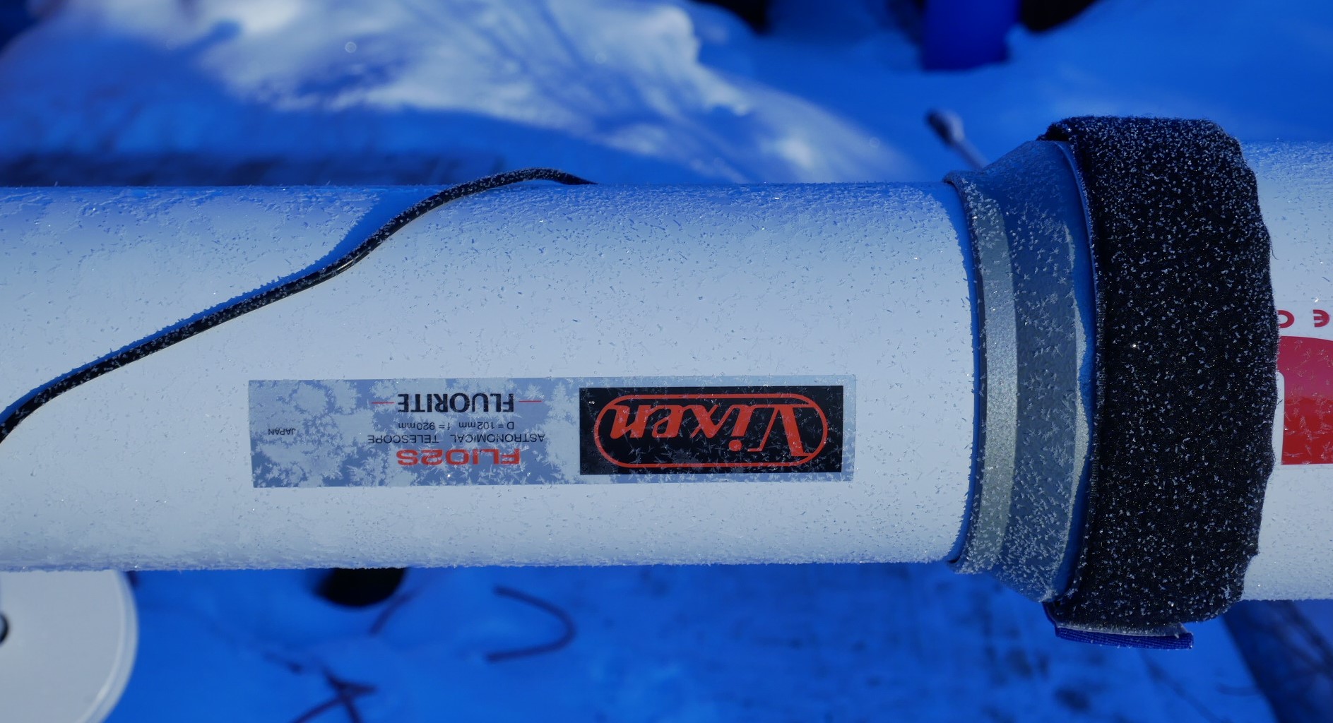FL102_jan24frost.JPG