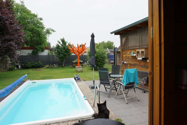 Flecke1DSC02047.JPG