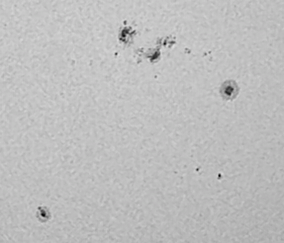 flecken-ani-270424.GIF