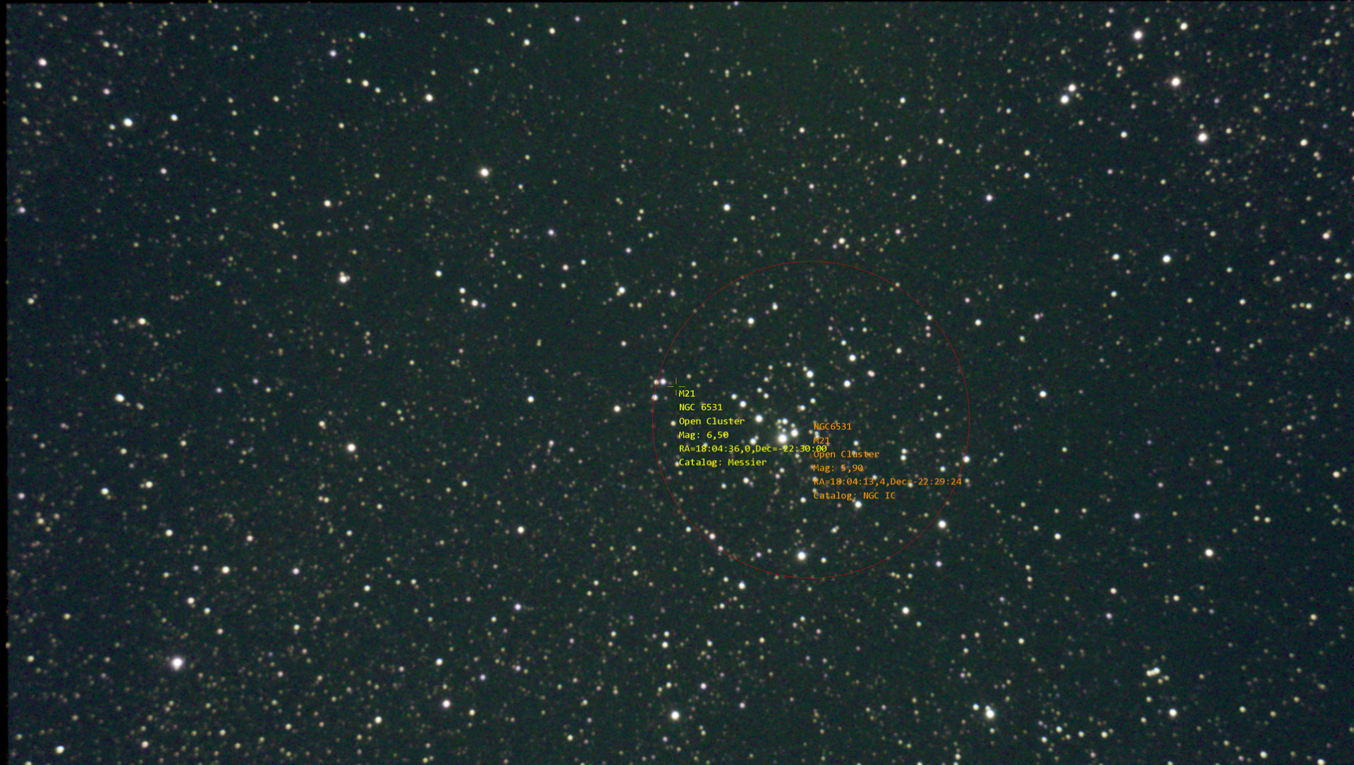 Fo_Stack_7frames_56s_WithAnnotations.png