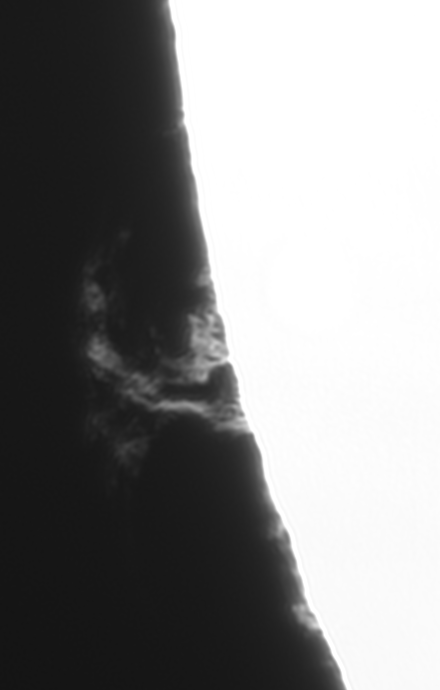 frame0000_pipp.gif