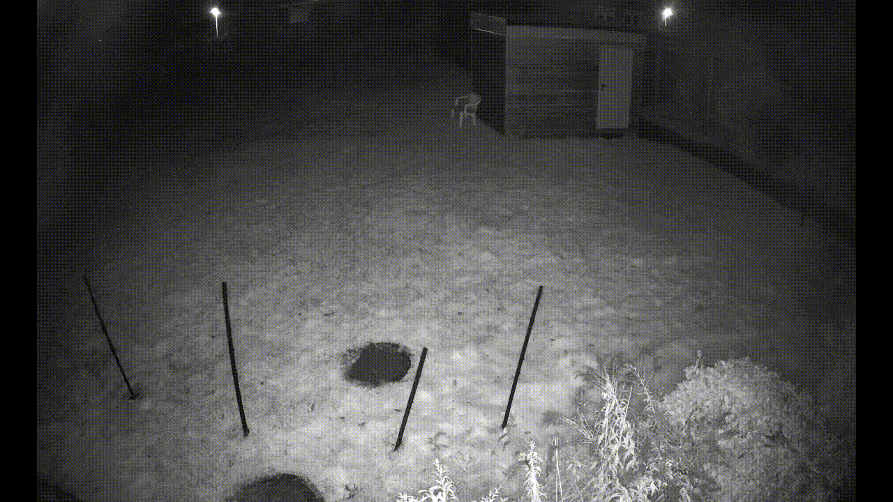 Garten.gif
