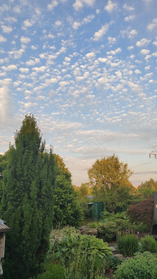 GartenWolken+.jpeg