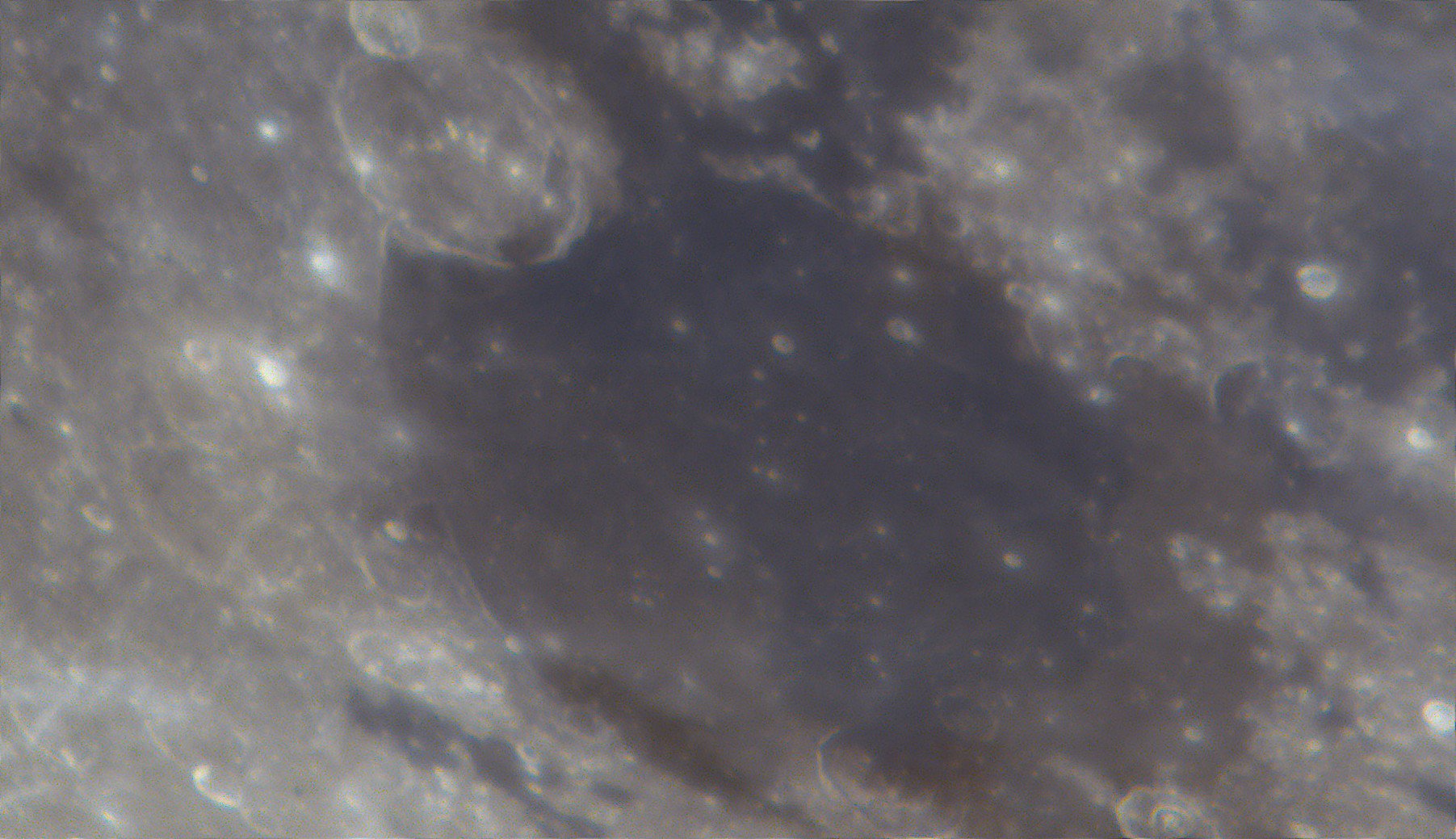 gassendi_010426_235556_RGBc.jpg