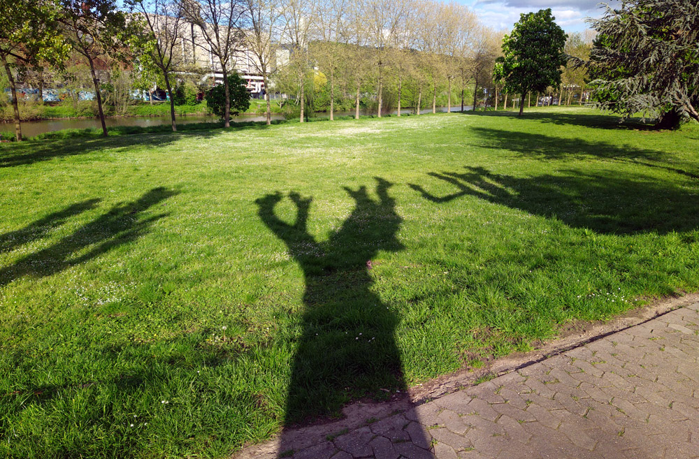 gruselbaeume_230502b.jpg