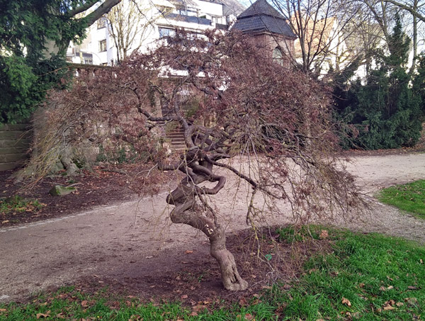 gruselbaum_2.jpg