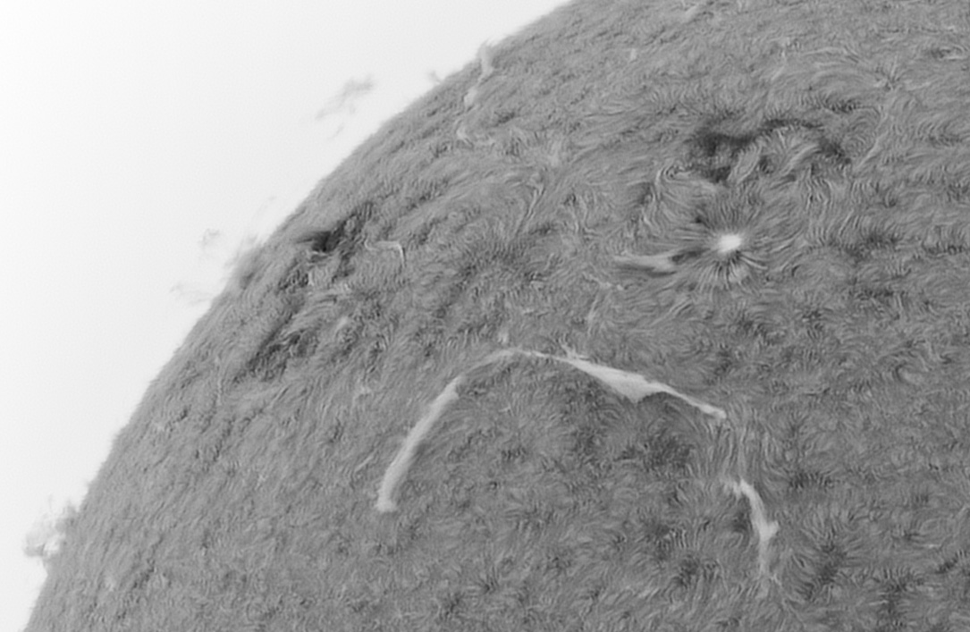 Ha-106mm-070524-crop2-invert.jpg