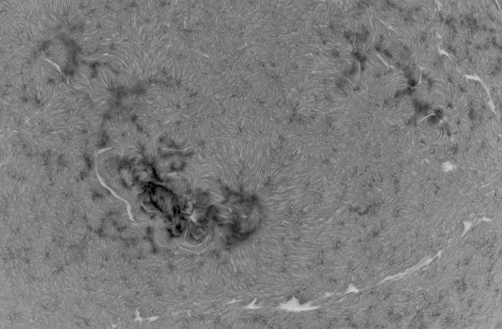Ha-106mm-070524-invert-crop.jpg