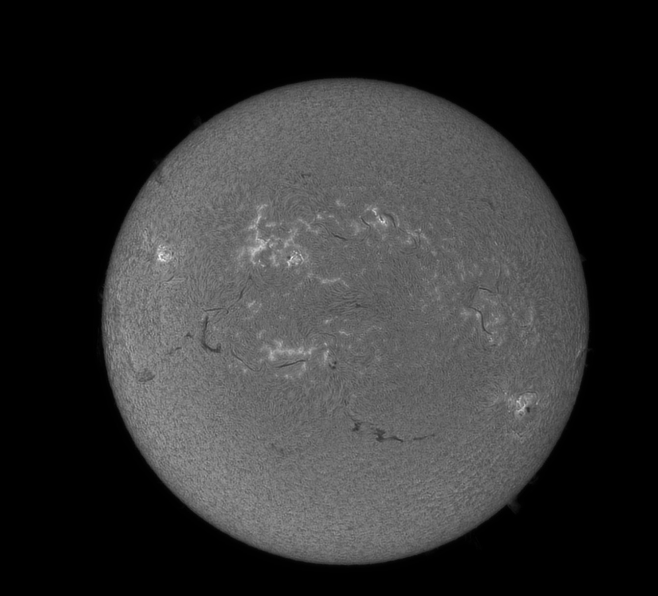 HA 250725 B 5 X.jpg
