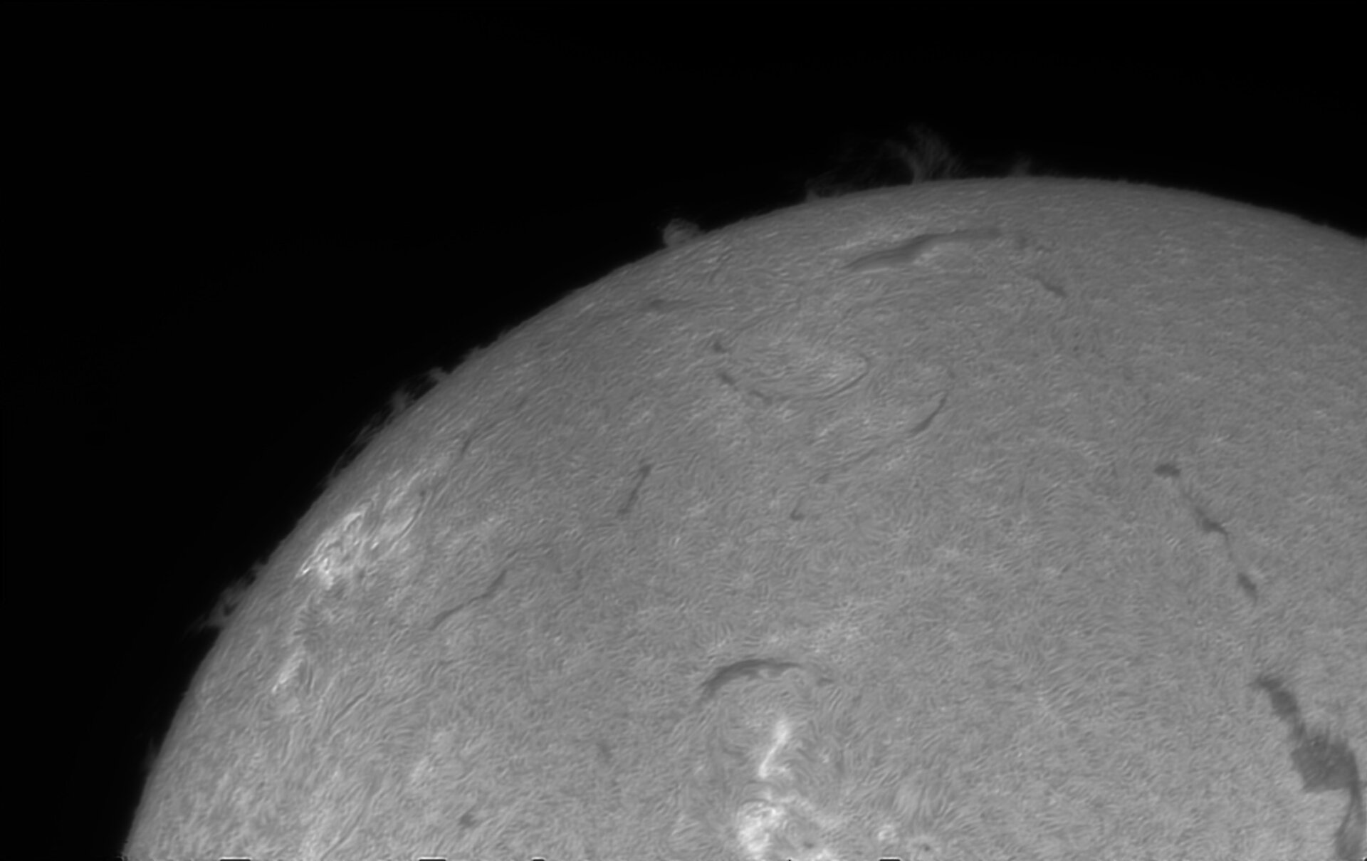 HA 7 250426.jpg