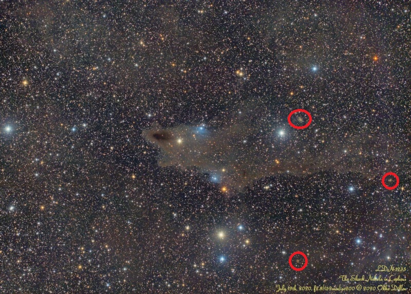 Hai_20200721_AB_xga_kringel.jpg