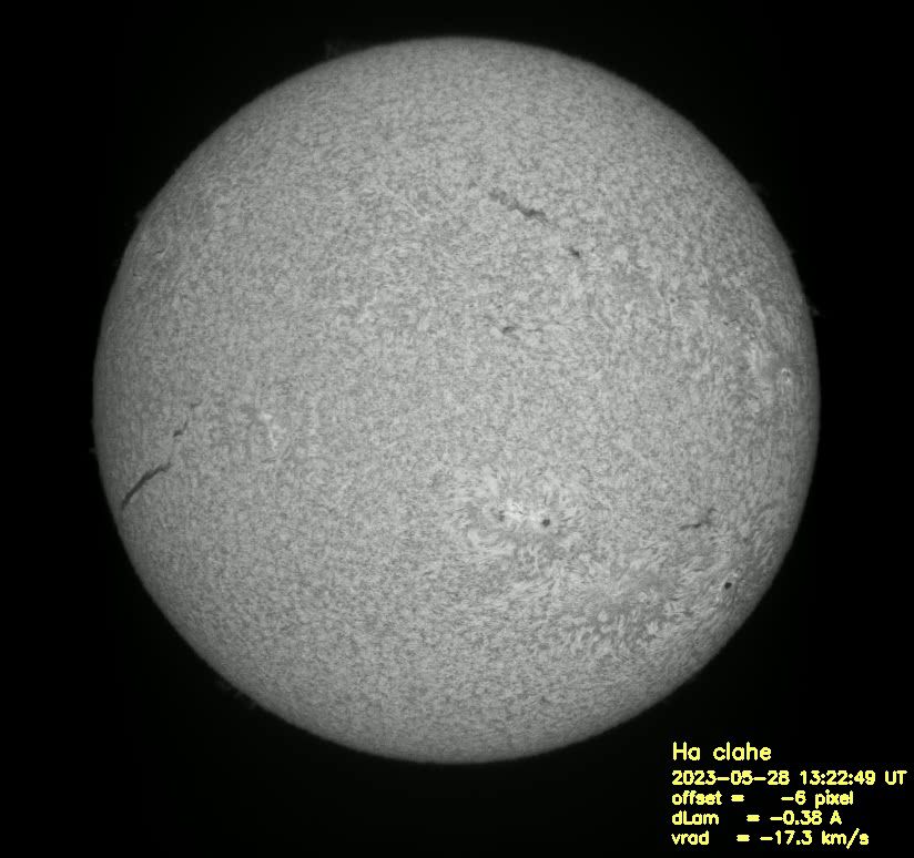 Halfa-6.jpg