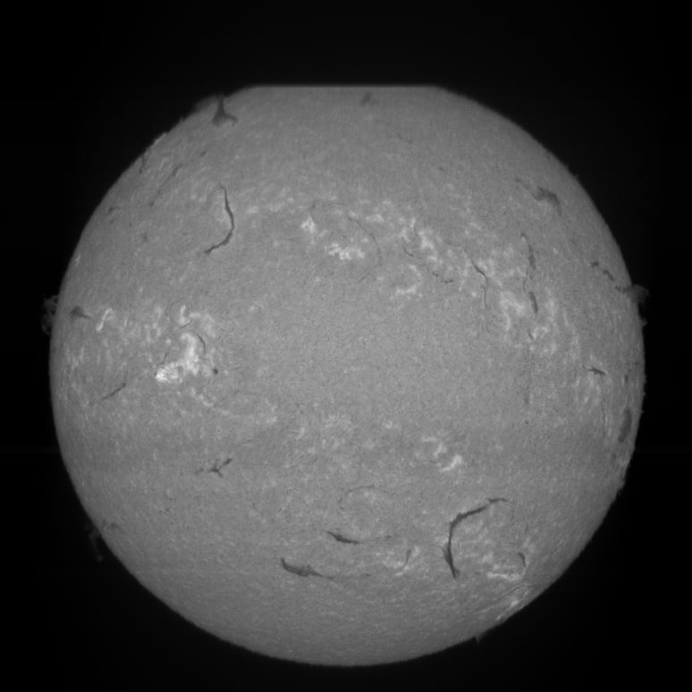 Halfa1.jpg