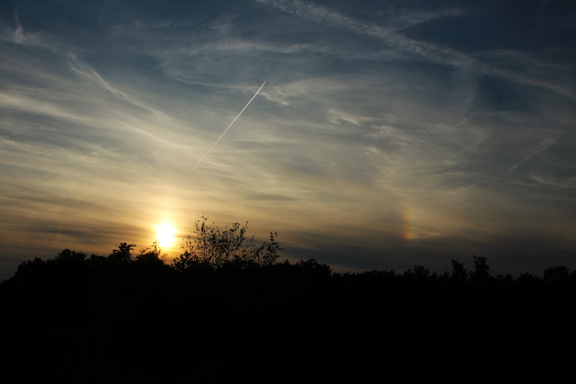 Halo (5).JPG