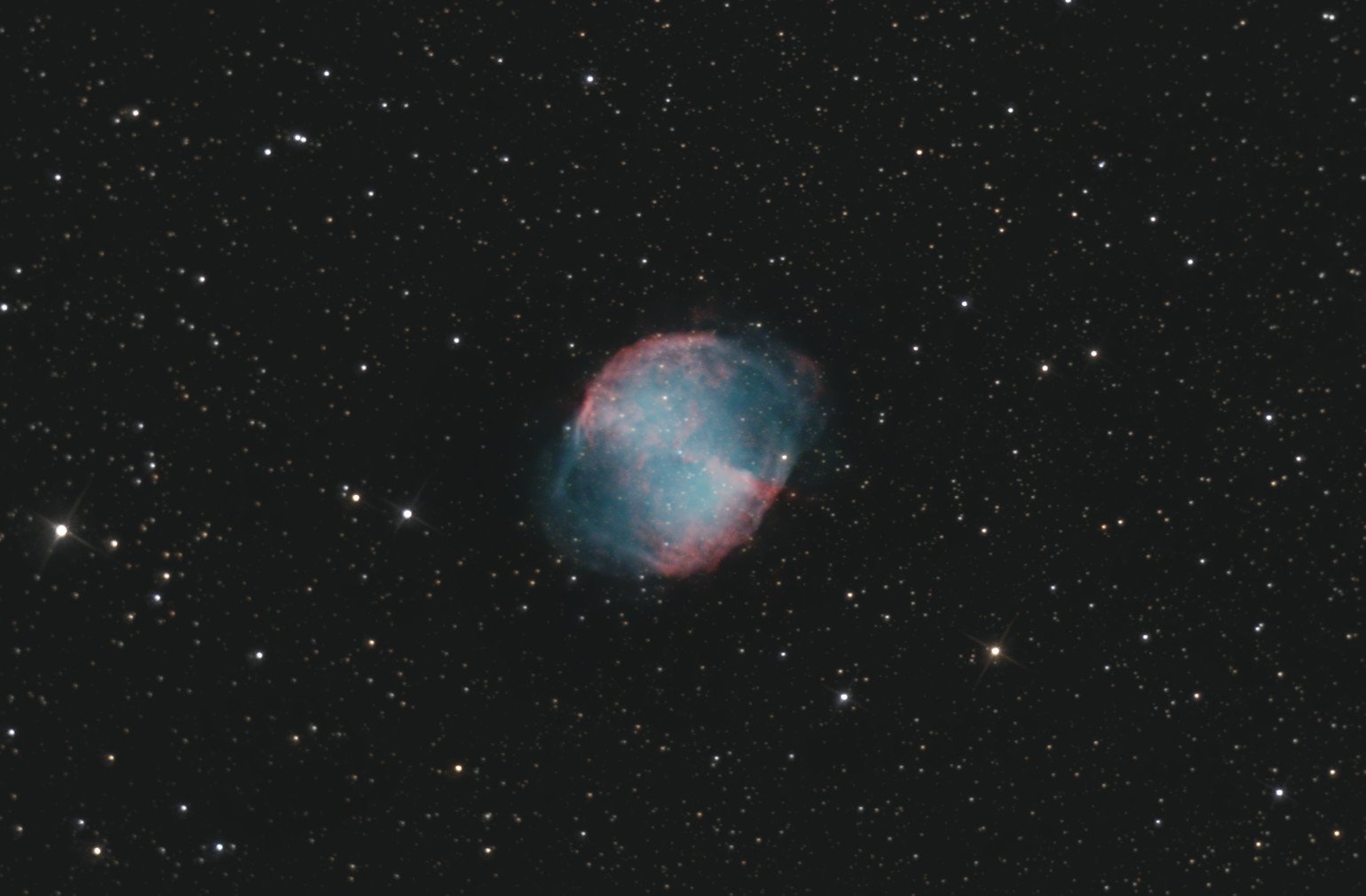 hantel-450mm-051026-L-RGBc.jpg