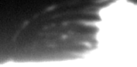 HaSonne090723xA.gif