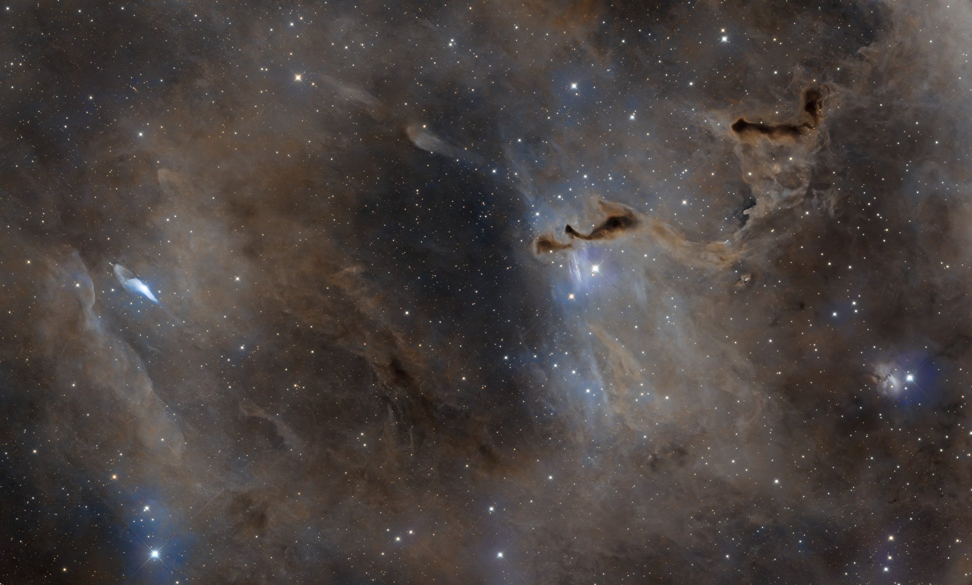 HelpHand_54x180sL_48u38x180sRGB.jpg