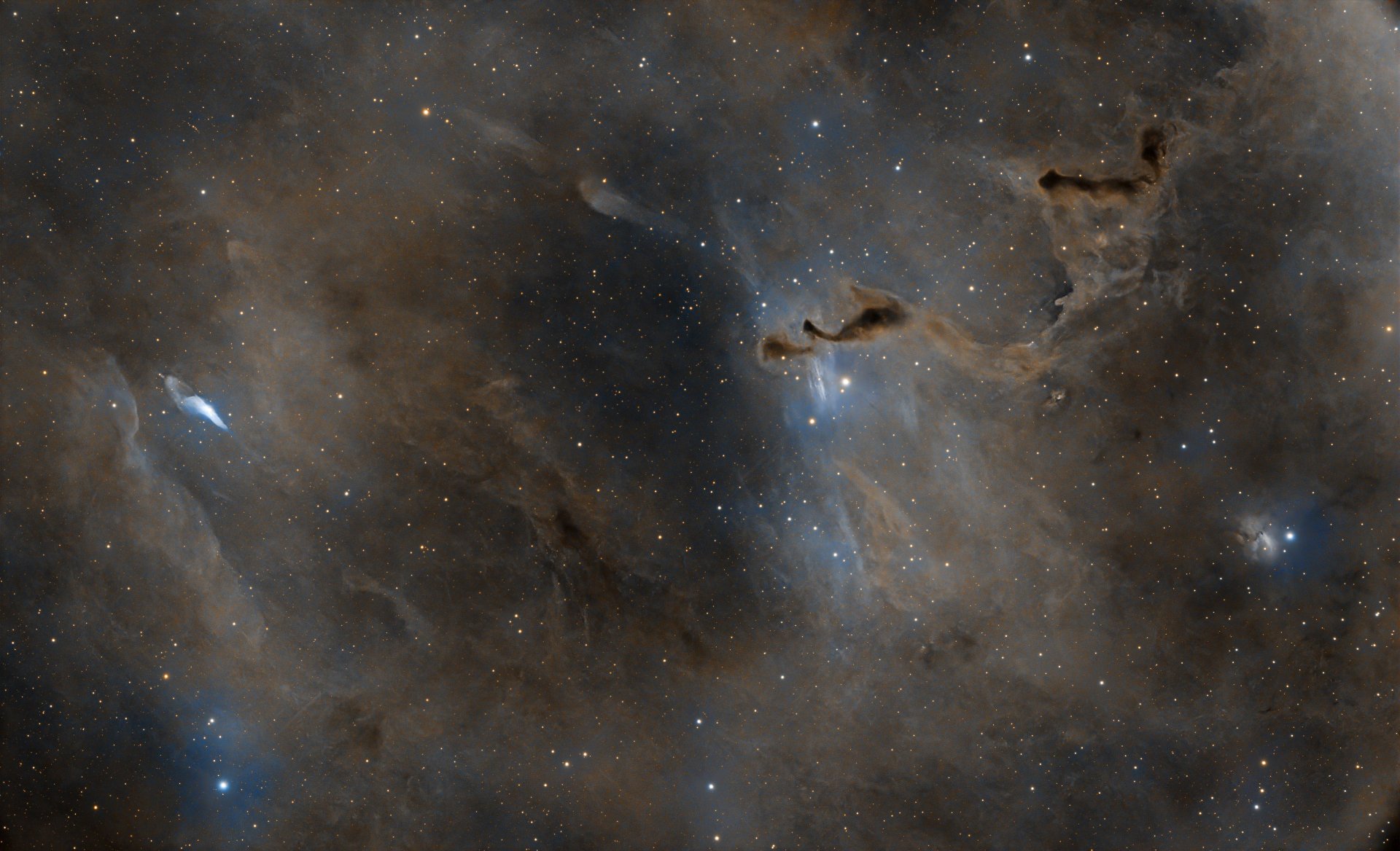 HelpHand_54x180sL_48u38x180sRGBstarsC.jpg