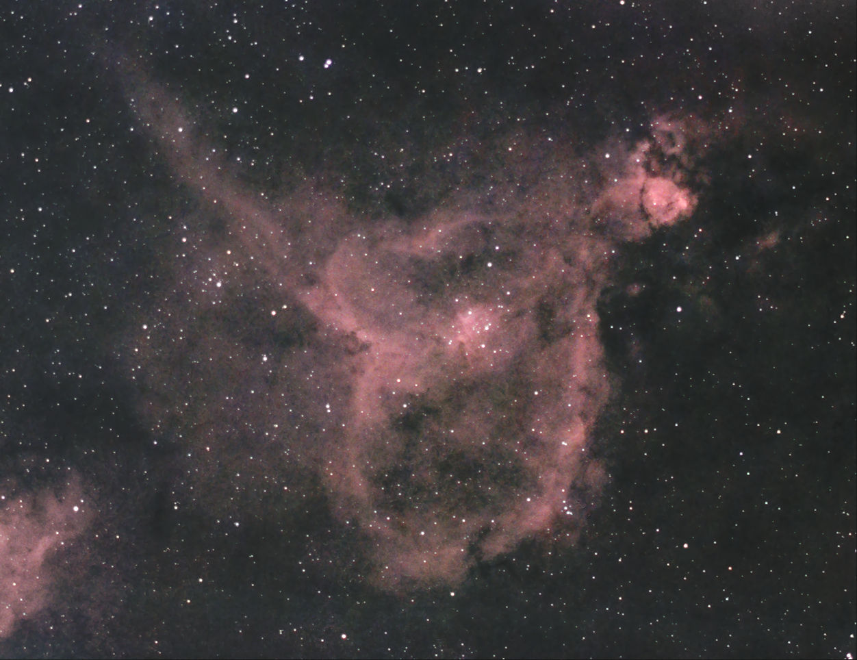 herznebel-130923-55mm-rg610neuc.jpg