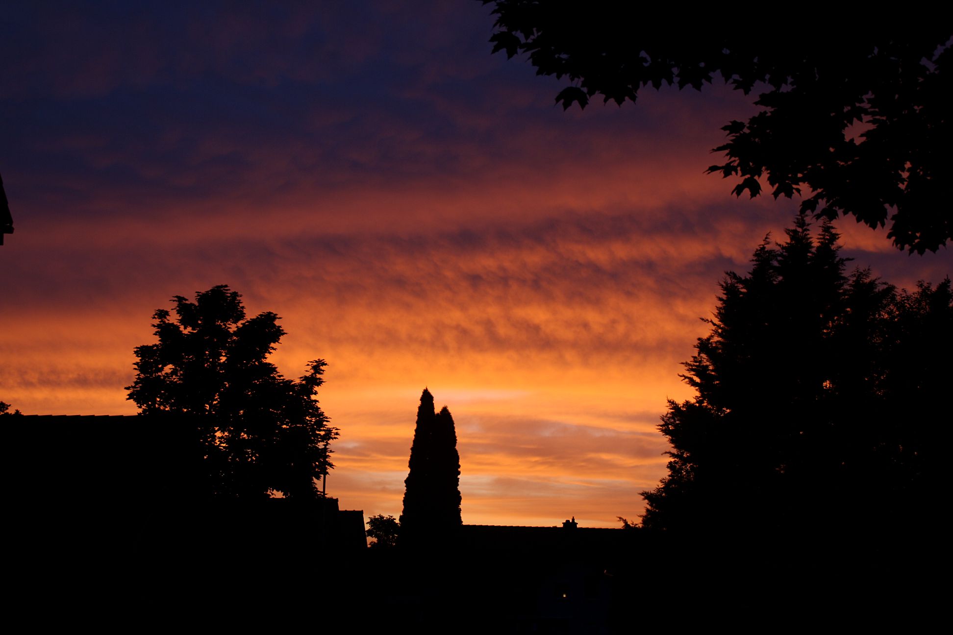 himmel-5083-140619p50c.jpg