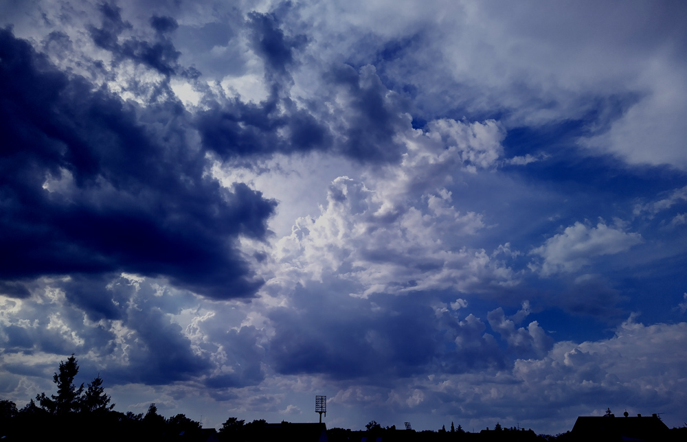 himmel1_specht.jpg