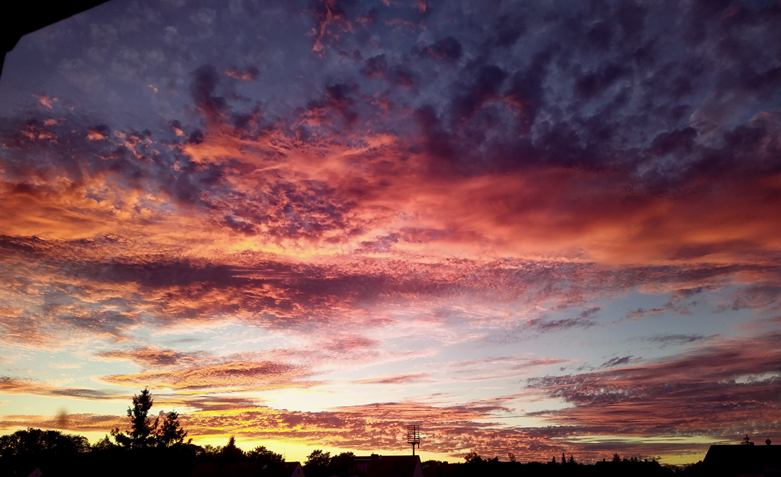 himmel_ww_specht.jpg