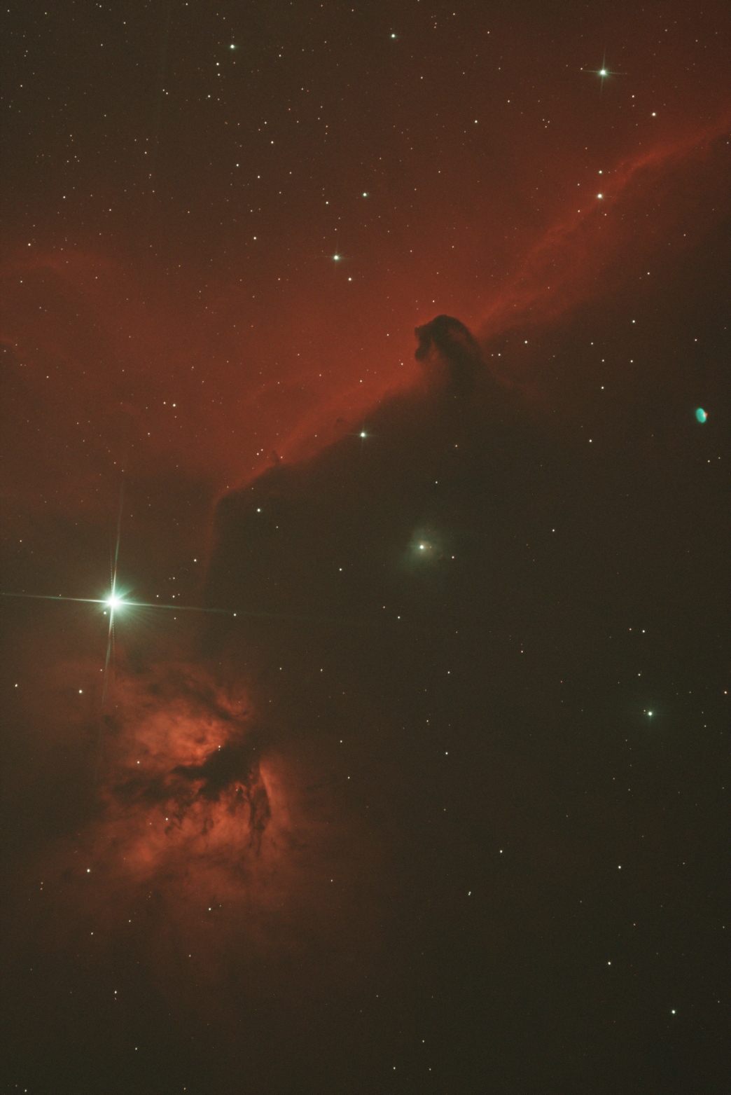 Horsehead_small.jpg
