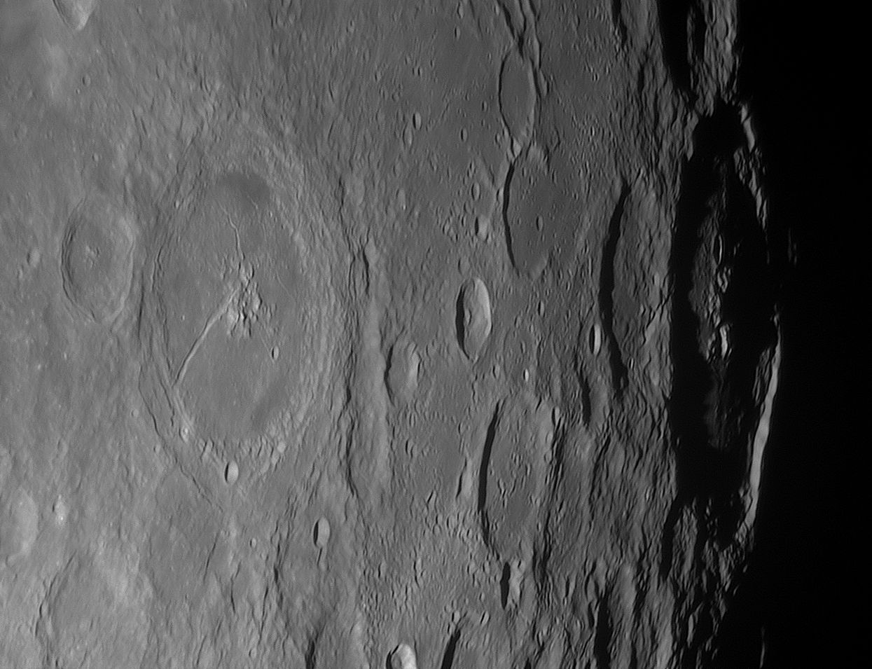 humboldt_220319_000523c.jpg