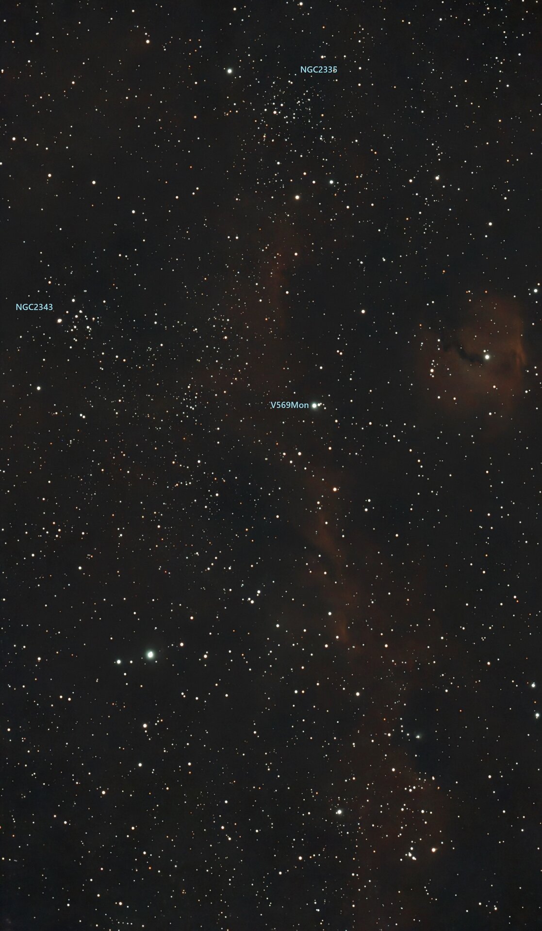IC 2177 1741130153715-1.jpg