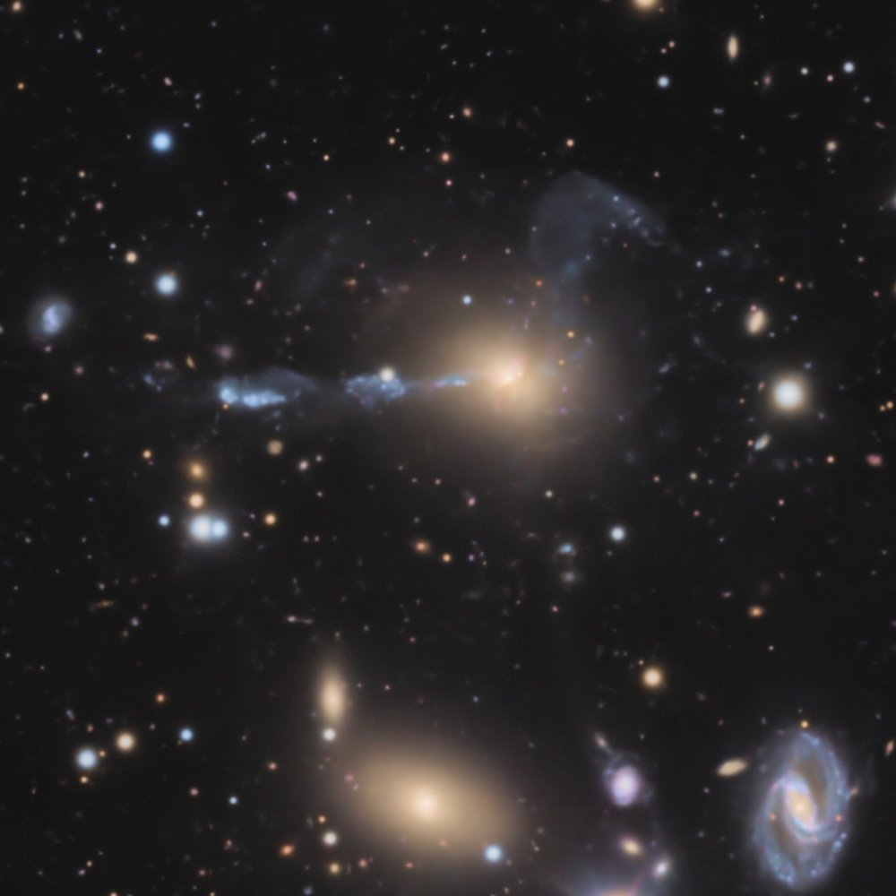 IC1182_20260620-s-64-crop.JPG