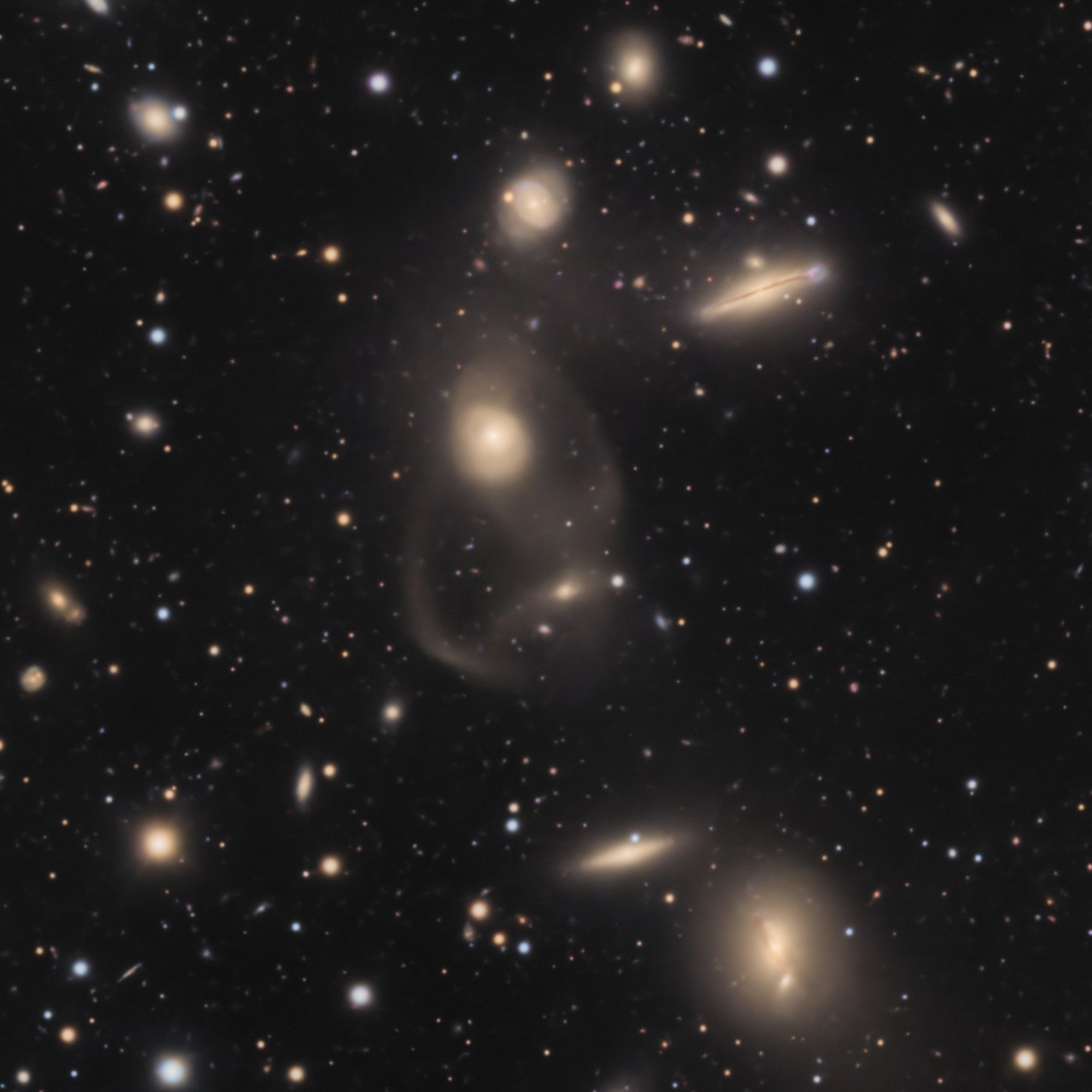 IC1194_20260620-s-64-crop.JPG