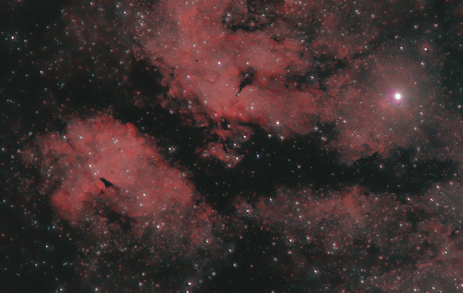 ic1318-260824-135mmc.jpg