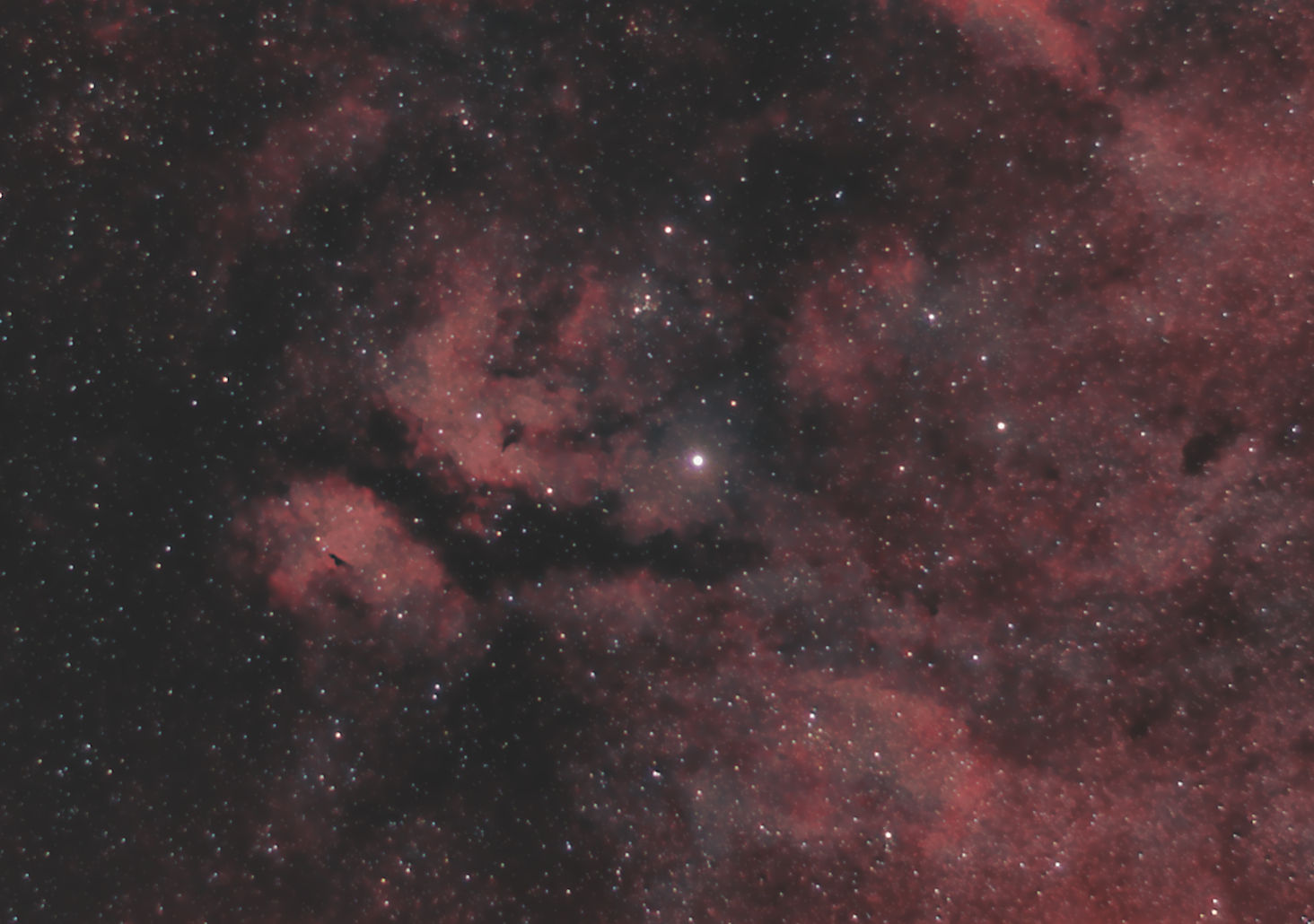 ic1318-270824-55mmc.jpg